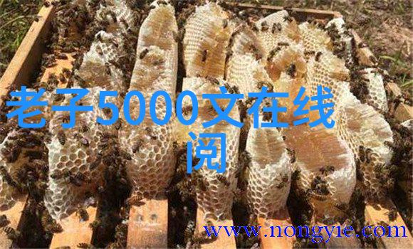 老子道德注音版全文让你在悟道的同时也能学点字
