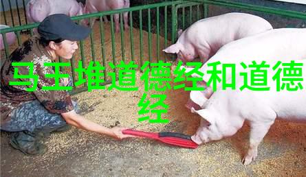 2. 道家哲学中什么是道它在中国文化中的地位如何