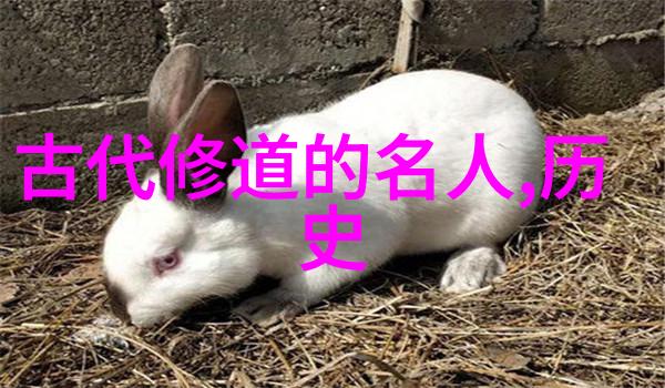 德道经中的修身实践有哪些具体方法