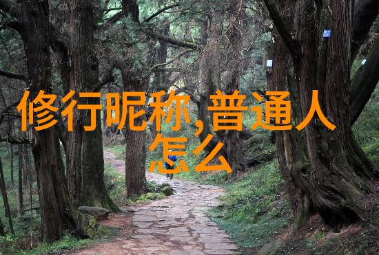 道德经个人感悟心灵的静谧之境