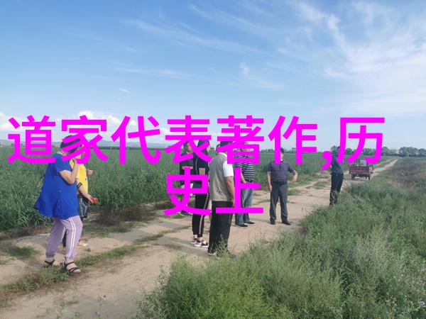 道家的概念无为而治在现实政治中有何实际应用价值