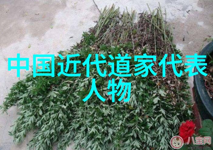 古诗词鉴赏50字探秘千古诗词从唐宋到明清的韵味