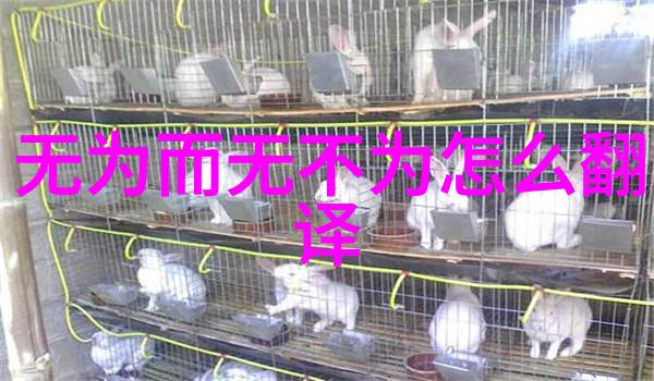 道教的100个名人-道门巨匠探秘道教百杰