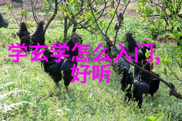 道家哲学的代表人物揭秘古代智者的智慧之光
