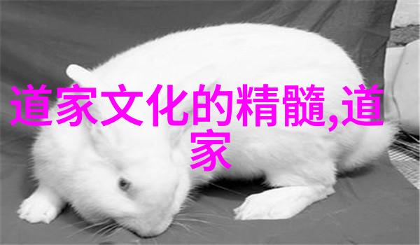如何解读颜回问孝的故事及其蕴含的心理内涵
