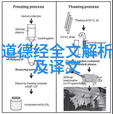 心之所向情感的简洁表达