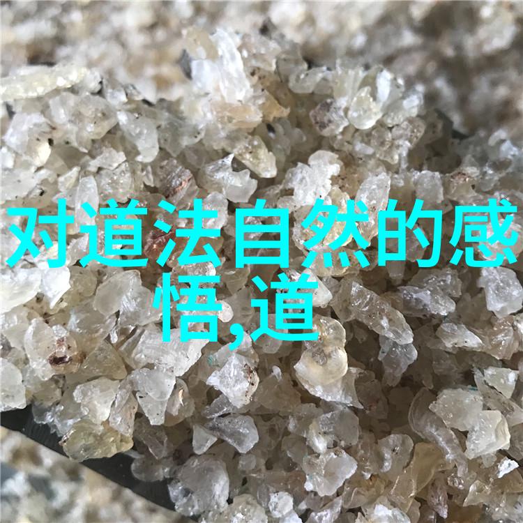 吴刚宋代著名道士其在医学和文学上的成就又是什么