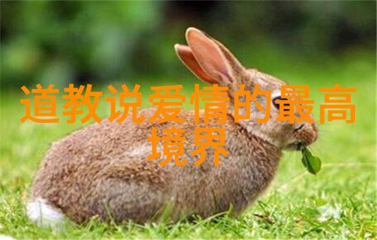 道家学说对中国和世界的影响-道法自然道家智慧的时代涵盖