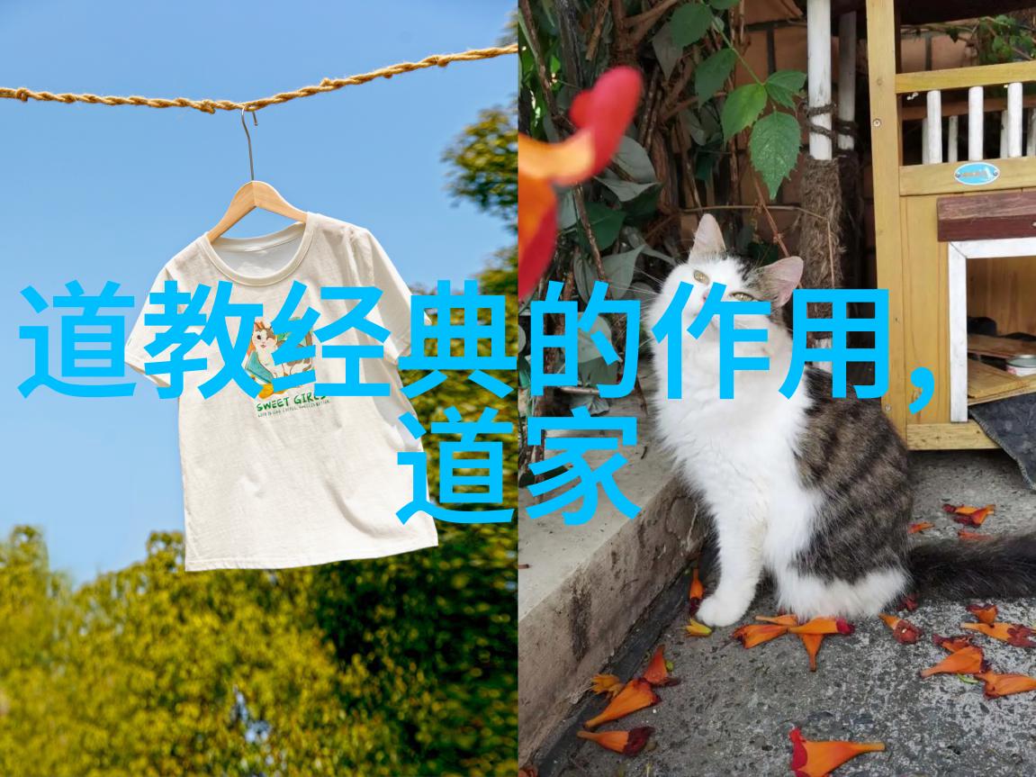 儒释道三教合一探究一个集体智慧的实践者