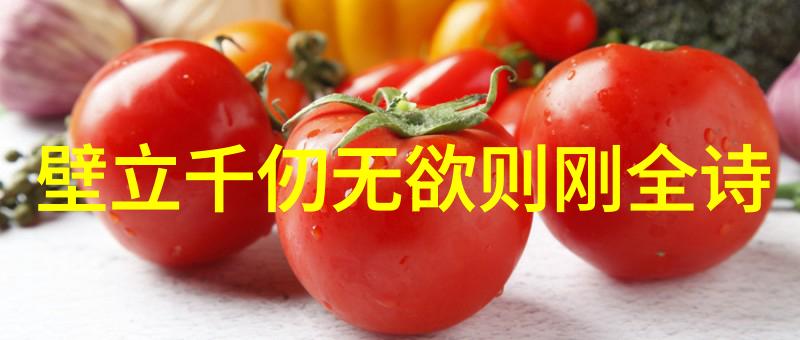诠释道德经原版全篇通往内心的钥匙