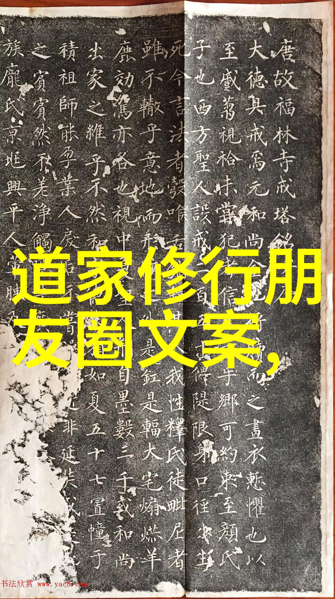道家学说书籍探索天地之道与人生智慧