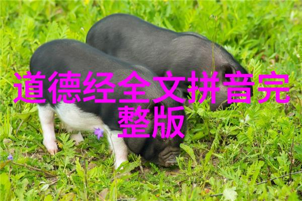 道教三清中的哪一位是主宰天地的最高神