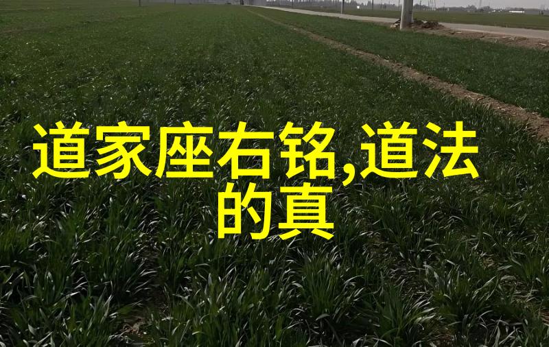 道教-天地不仁以万物为刍狗道教十大名人的智慧与传奇