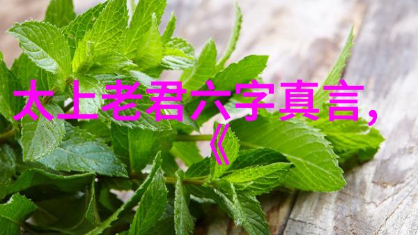 静听岁月无为之道的奥秘