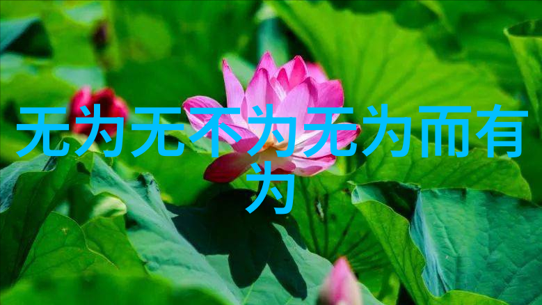 道教人物形象介绍我和老子的那些事从黄帝到张良的奇幻旅程