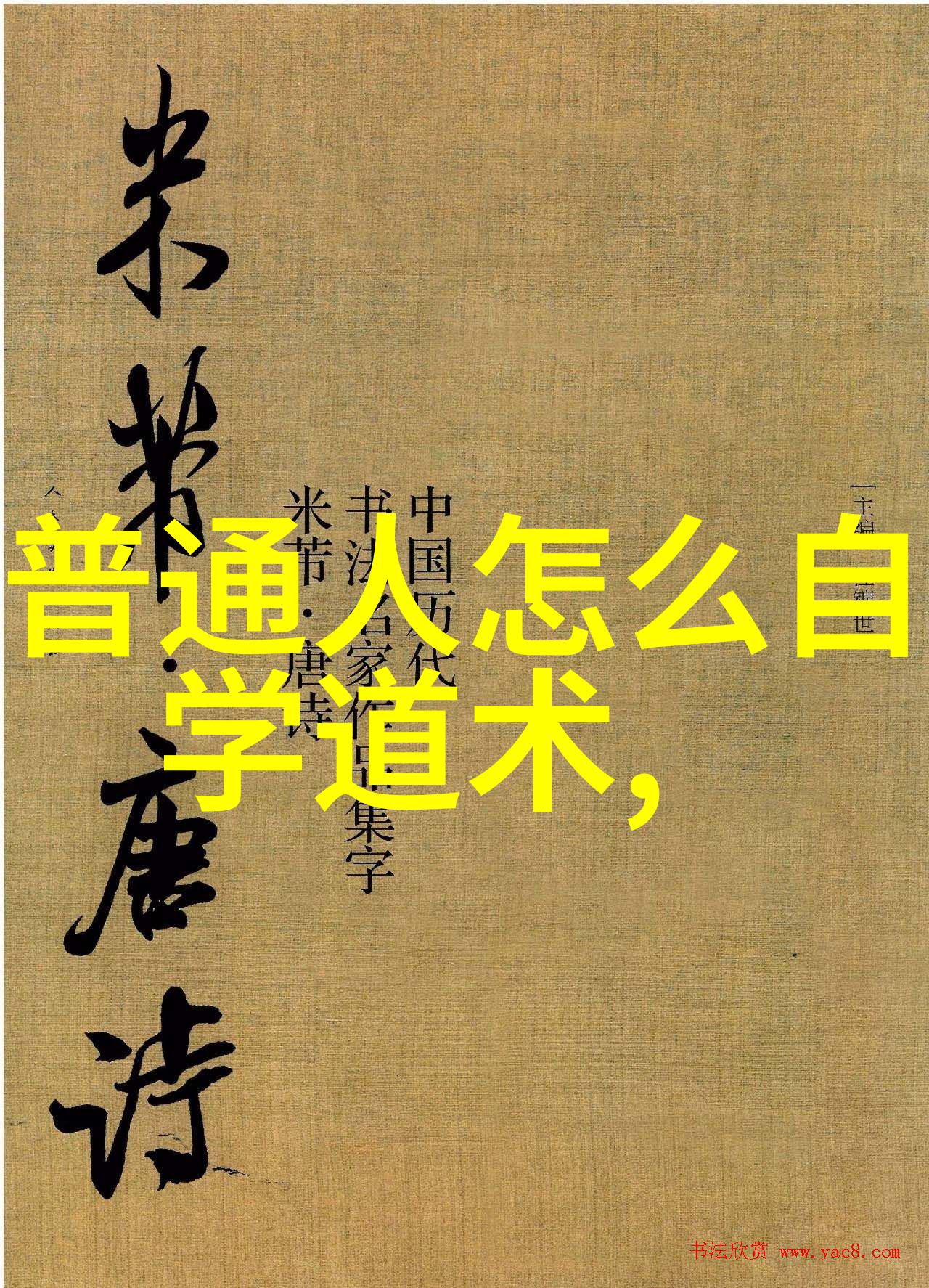 道法自然老子的道德经中无为而治的智慧