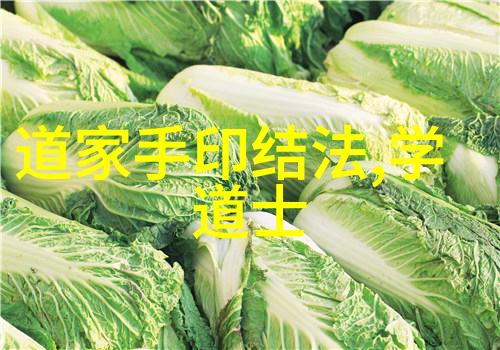 道教至尊探索黄帝尧舜与老子的神仙境界