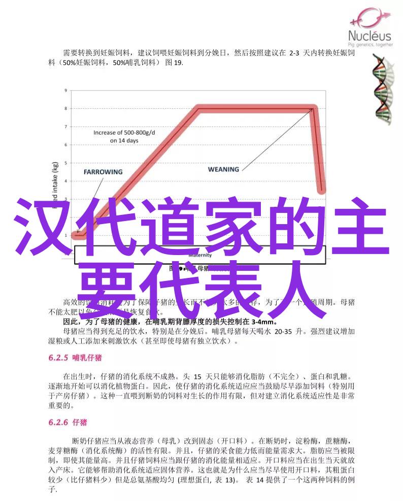 道家思想对于心理健康和生活方式有何启示