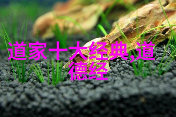 道教人物中有哪些神秘的形象