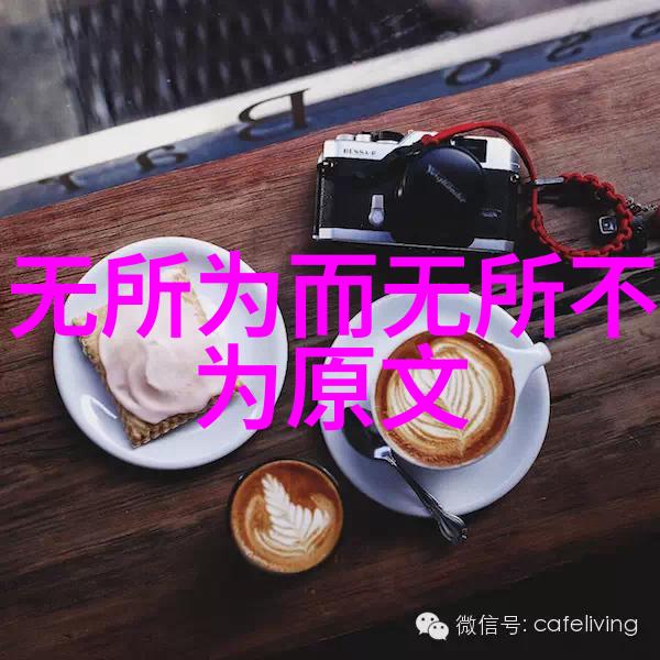 道家思想的代表人物探索老子庄子与张岱的智慧