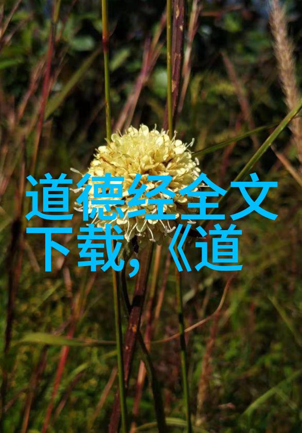 面对残酷现实天地不仁如何影响我们的社会结构
