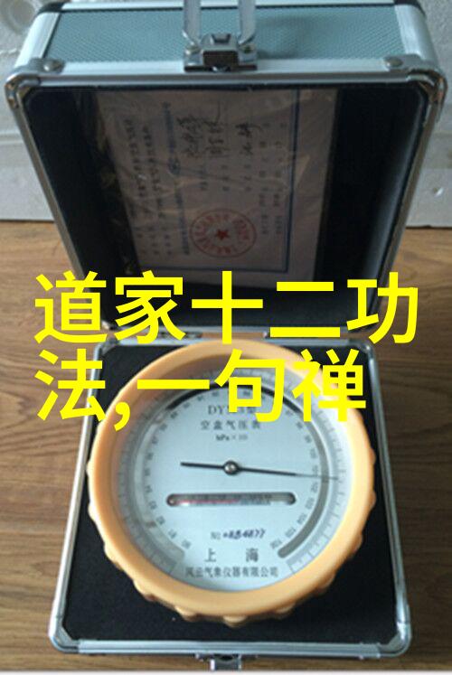 野心与步伐