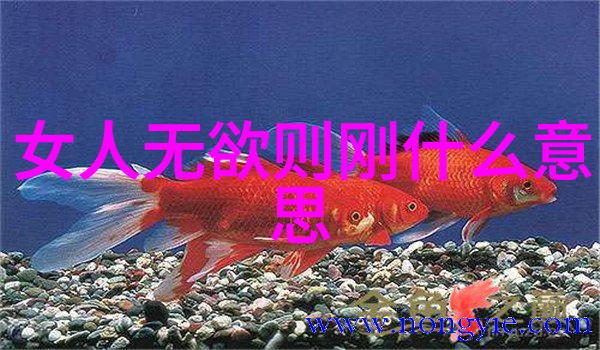 女生说大道至简解密心灵深处的哲理之旅