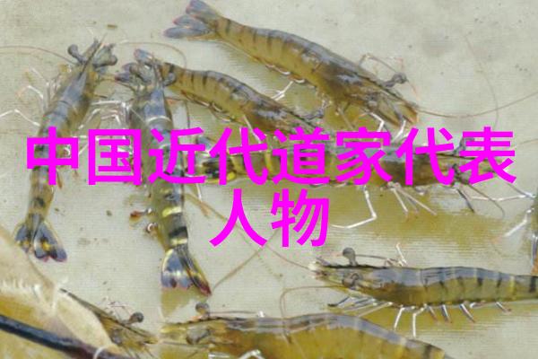道教缘起探索其中哪一位人物与道教的深远关联