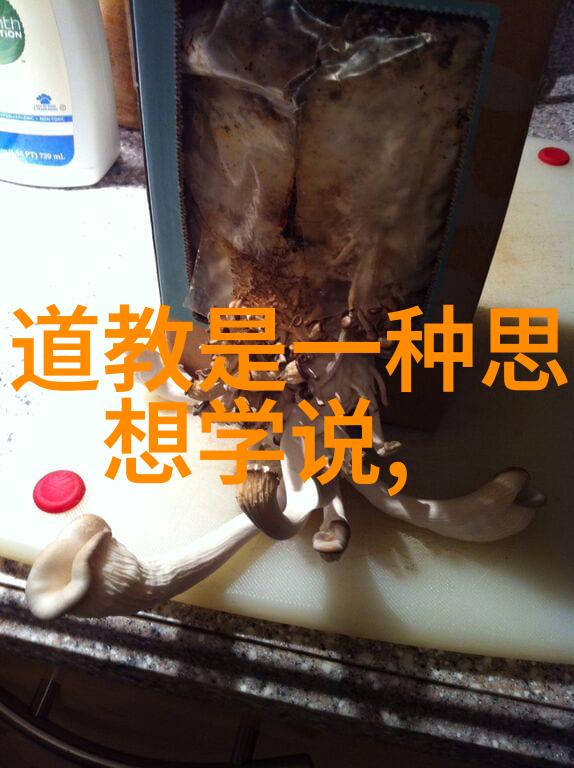 道家学派的兴起与对抗战国时期智者的探索与实践