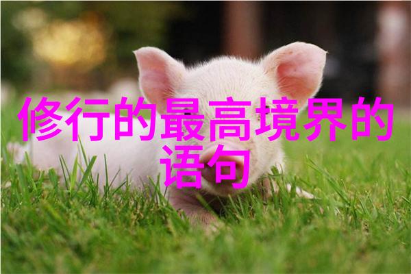 道士修行生涯探索道教修行的长期承诺