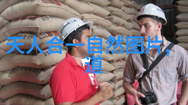 心无欲则刚的哲学深度探索古代智者的内心世界