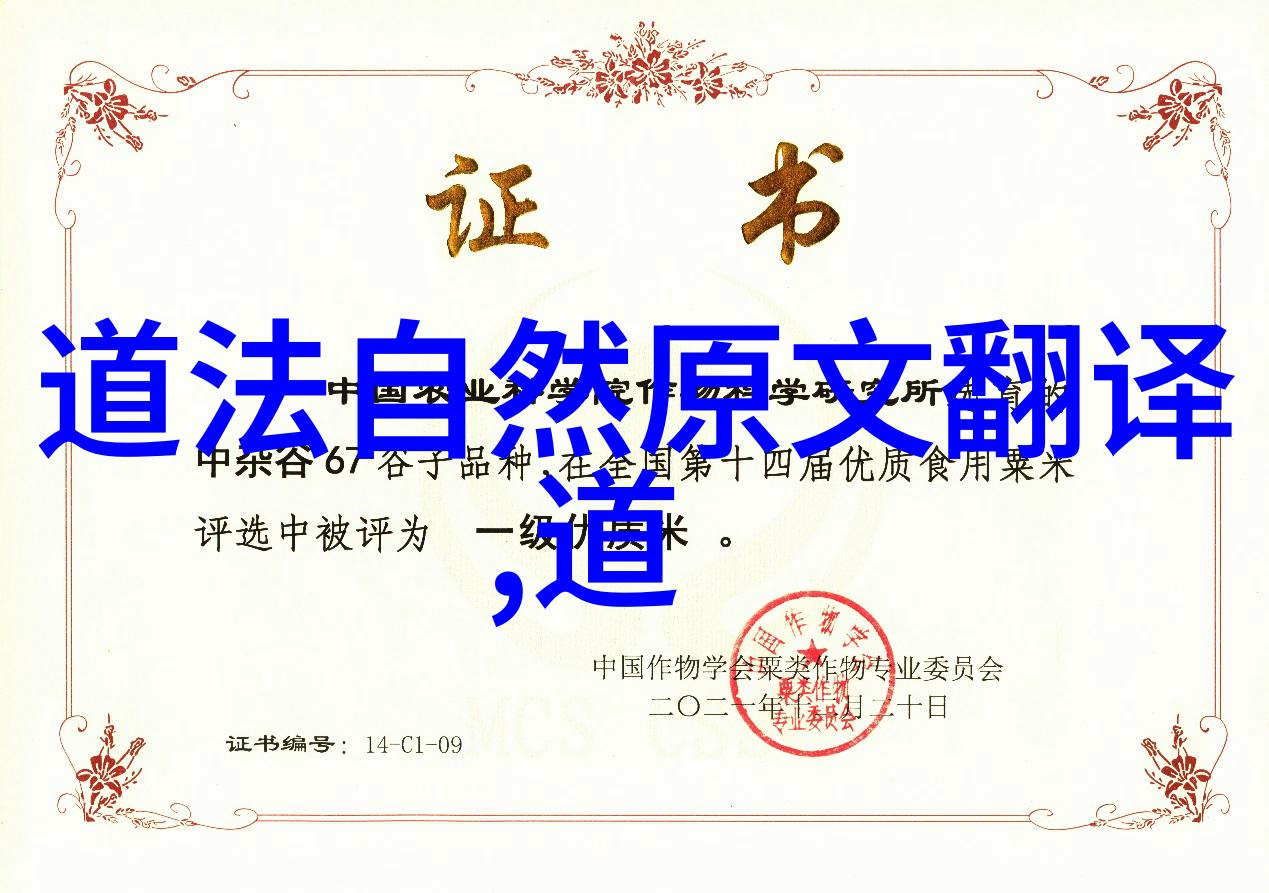 探究道家哲学自然无为与和谐的智慧