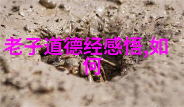 古诗解析探索千年文化的艺术瑰宝