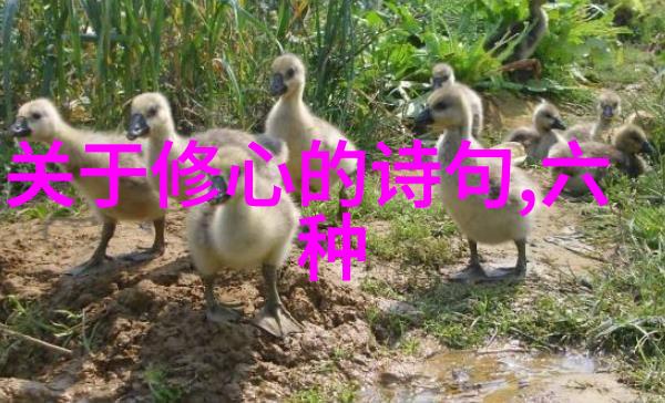 君子无为而无所不为-淡泊明志致远图新