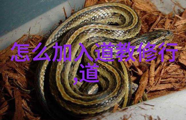 书法艺术追求大道至简的美学传统书法作品集