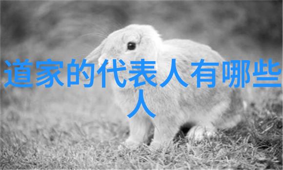 探索儒家与道家的哲学对比与融合