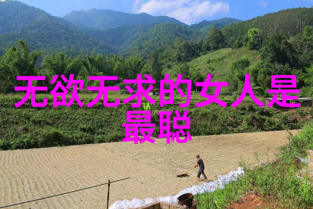 天赋本真悟道自然探索内心的完善之路
