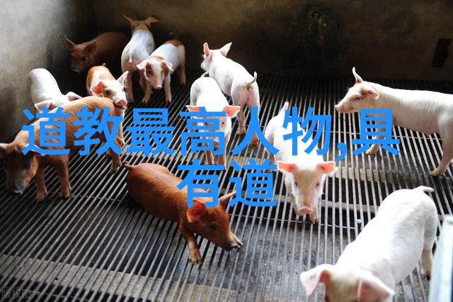 老子最霸气的一句话道法自然