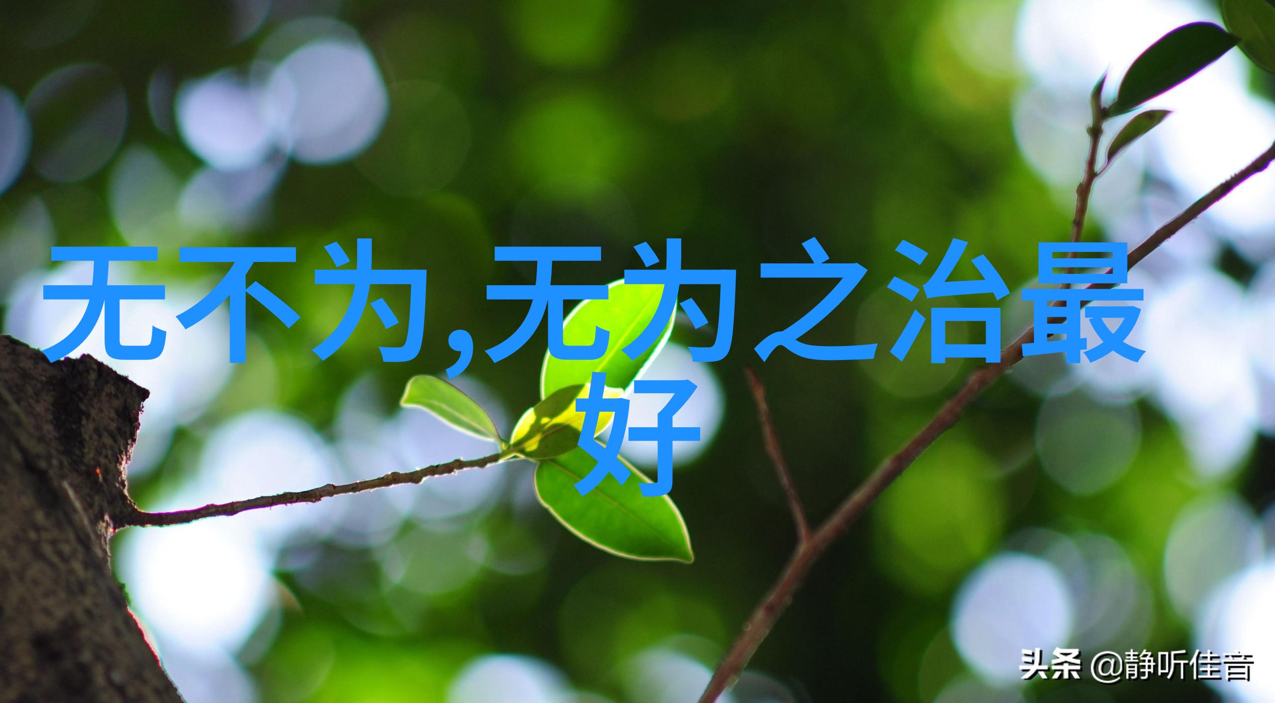 心无欲则刚剖析意境与哲理的深度探究