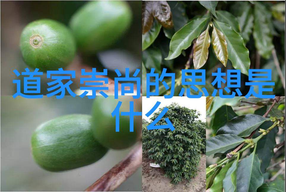 笔下墨香如何构建一篇深入的行书鉴赏论文