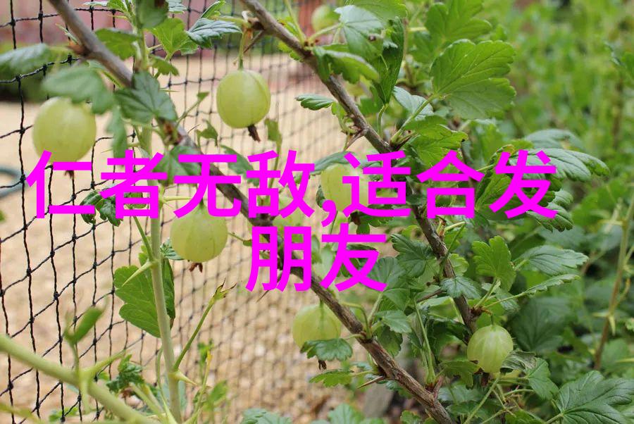 野兽嗅蔷薇野性放纵的芬芳探寻