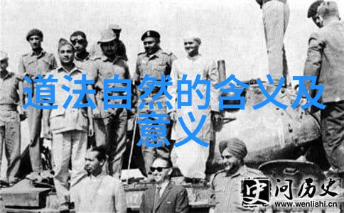道家修行的巅峰者探秘内丹术与无极境界