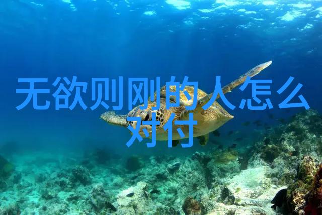 易学智慧启蒙探索最佳年龄的哲理之旅