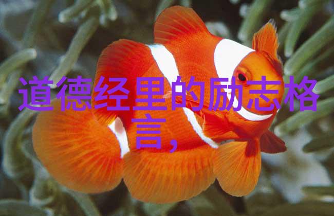 无为哲学-从无不为而为无为而不为探索生活的智慧