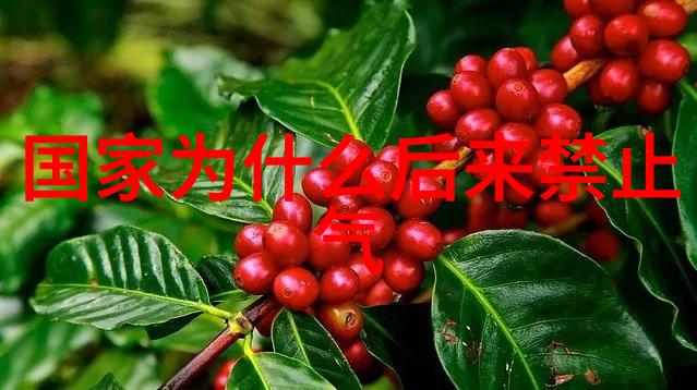 全国硬笔书法大赛一等奖我的书法梦想成真