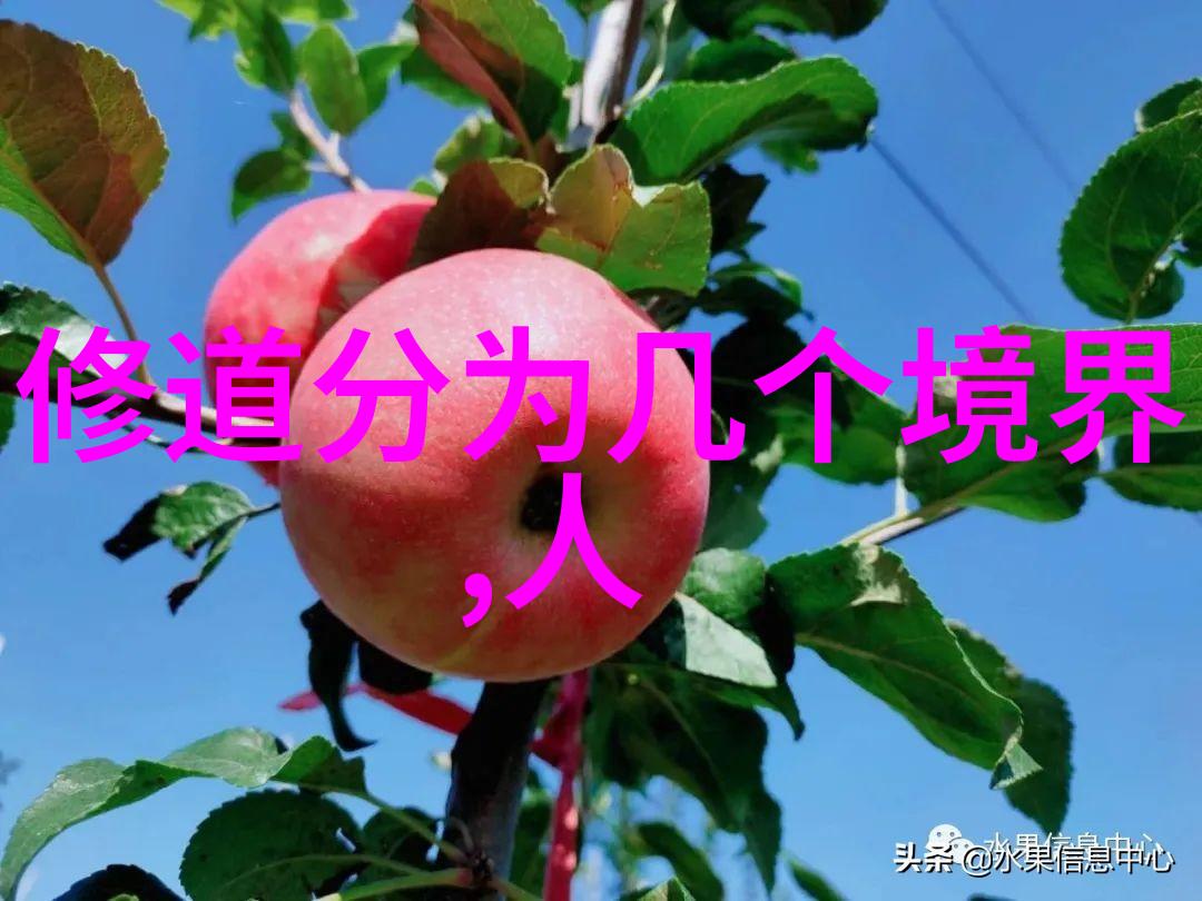 古诗文中的雅韵与哲思探索小雅篇章的智慧与美学