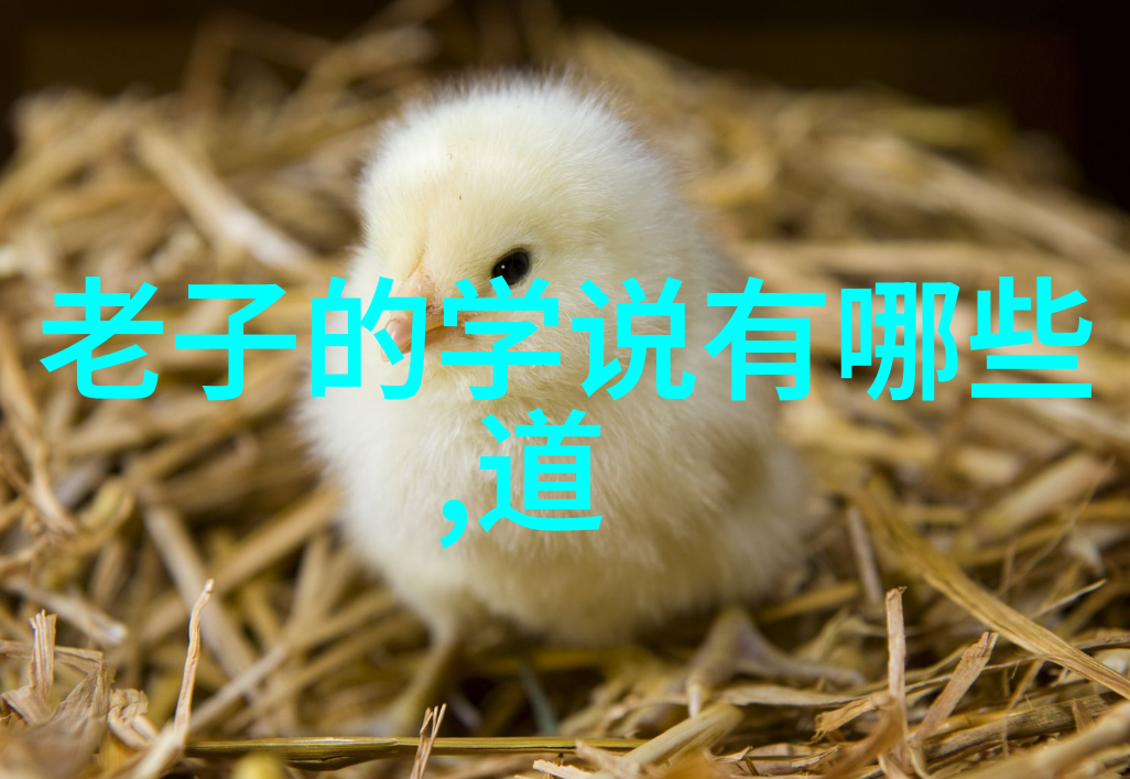 探索心境之境揭秘得道背后的哲学深度