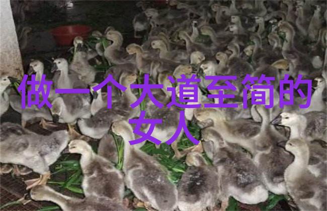 出道之初的奇变揭秘弟子眼睛的神秘变化