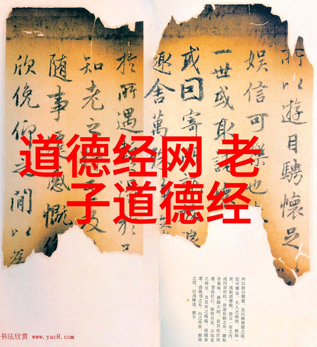 道德经背后的哲学思想深度解析