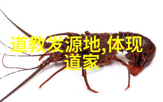 柔情似水刚毅如钢解读女人无欲则刚的奥秘